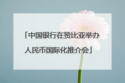 中国银行在赞比亚举办人民币国际化推介会