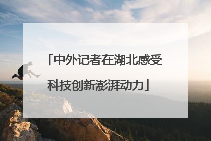 中外记者在湖北感受科技创新澎湃动力