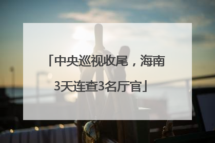中央巡视收尾，海南3天连查3名厅官