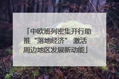 中欧班列密集开行助推“落地经济” 激活周边地区发展新动能