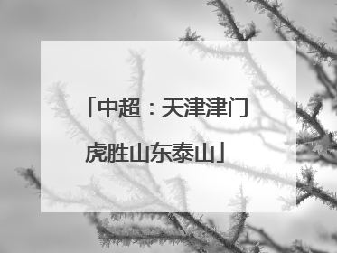 中超：天津津门虎胜山东泰山