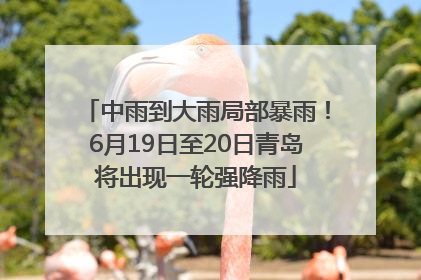 中雨到大雨局部暴雨！6月19日至20日青岛将出现一轮强降雨