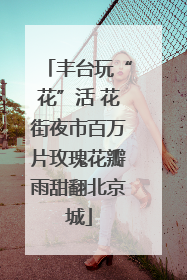 丰台玩“花”活 花街夜市百万片玫瑰花瓣雨甜翻北京城