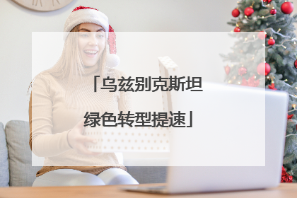 乌兹别克斯坦绿色转型提速