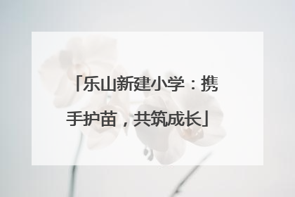 乐山新建小学：携手护苗，共筑成长