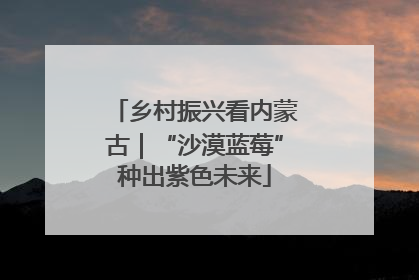 乡村振兴看内蒙古｜“沙漠蓝莓”种出紫色未来