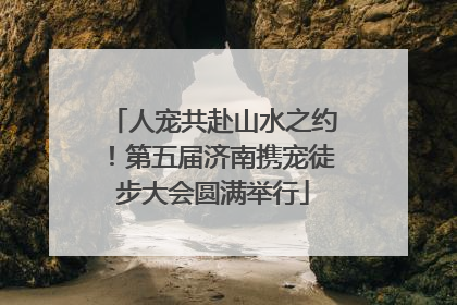 人宠共赴山水之约！第五届济南携宠徒步大会圆满举行