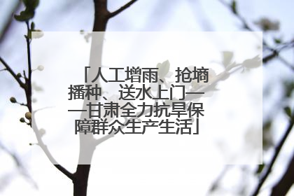 人工增雨、抢墒播种、送水上门——甘肃全力抗旱保障群众生产生活