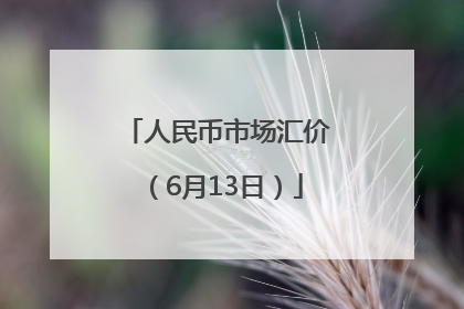 人民币市场汇价（6月13日）