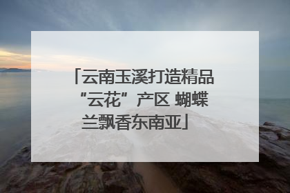 云南玉溪打造精品“云花”产区 蝴蝶兰飘香东南亚