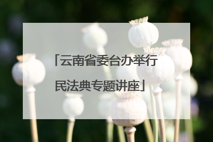 云南省委台办举行民法典专题讲座