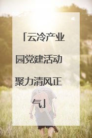 云冷产业园党建活动聚力清风正气