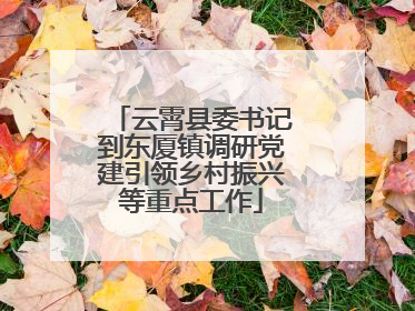 云霄县委书记到东厦镇调研党建引领乡村振兴等重点工作