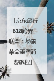京东旅行618跨界联盟：场景革命重塑消费旅程