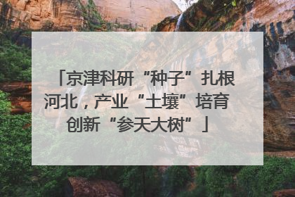 京津科研“种子”扎根河北，产业“土壤”培育创新“参天大树”