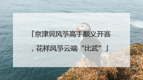 京津冀风筝高手顺义开赛，花样风筝云端“比武”