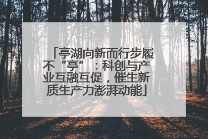 亭湖向新而行步履不“亭”：科创与产业互融互促，催生新质生产力澎湃动能