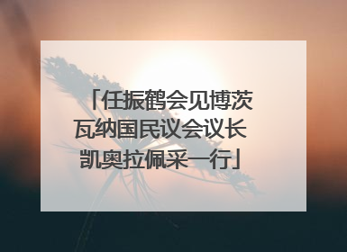 任振鹤会见博茨瓦纳国民议会议长凯奥拉佩采一行