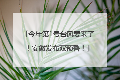 今年第1号台风要来了！安徽发布双预警！