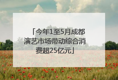 今年1至5月成都演艺市场带动综合消费超25亿元