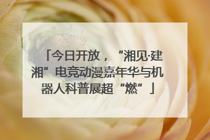 今日开放，“湘见·建湘”电竞动漫嘉年华与机器人科普展超“燃”