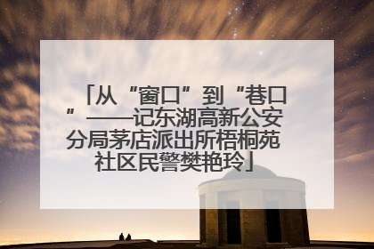 从“窗口”到“巷口”——记东湖高新公安分局茅店派出所梧桐苑社区民警樊艳玲