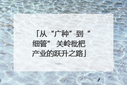 从“广种”到“细管” 关岭枇杷产业的跃升之路