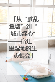从“脏乱鱼塘”到“城市绿心”——宿迁三里湿地的生态蝶变