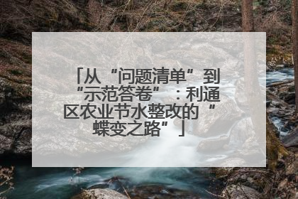 从“问题清单”到“示范答卷”：利通区农业节水整改的“蝶变之路”