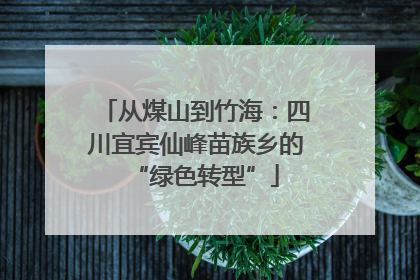 从煤山到竹海：四川宜宾仙峰苗族乡的“绿色转型”