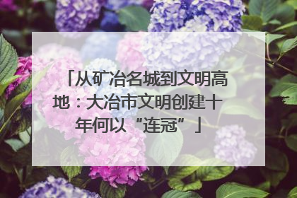 从矿冶名城到文明高地：大冶市文明创建十年何以“连冠”