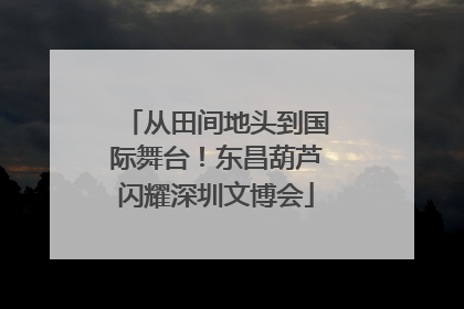 从田间地头到国际舞台！东昌葫芦闪耀深圳文博会
