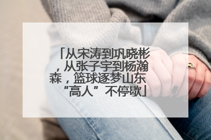 从宋涛到巩晓彬，从张子宇到杨瀚森，篮球逐梦山东“高人”不停歇