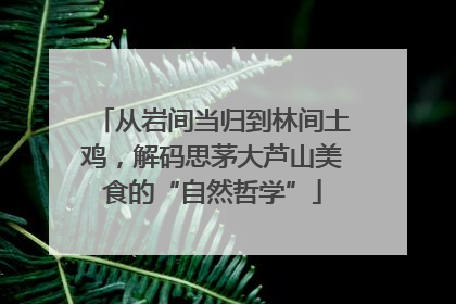 从岩间当归到林间土鸡，解码思茅大芦山美食的“自然哲学”