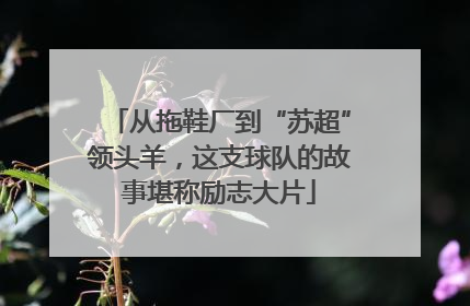从拖鞋厂到“苏超”领头羊，这支球队的故事堪称励志大片