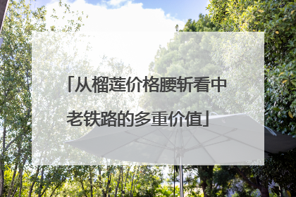 从榴莲价格腰斩看中老铁路的多重价值