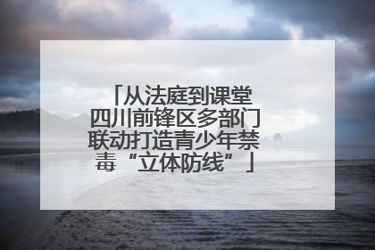 从法庭到课堂 四川前锋区多部门联动打造青少年禁毒“立体防线”