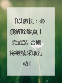 以防长：必须解除黎真主党武装 否则将继续采取行动