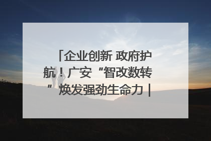 企业创新 政府护航！广安“智改数转”焕发强劲生命力｜市州焕新力