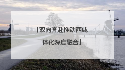 双向奔赴推动西咸一体化深度融合
