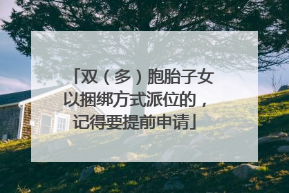 双（多）胞胎子女以捆绑方式派位的，记得要提前申请