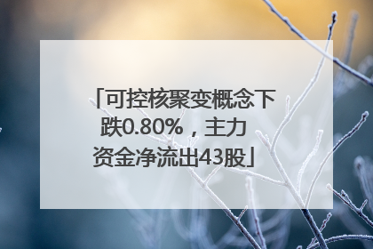 可控核聚变概念下跌0.80%，主力资金净流出43股