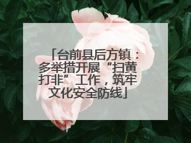 台前县后方镇：多举措开展“扫黄打非”工作，筑牢文化安全防线