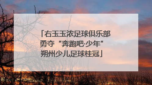右玉玉浓足球俱乐部勇夺“奔跑吧·少年”朔州少儿足球桂冠