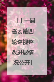 十一届省委第四轮巡视整改进展情况公开