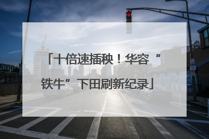 十倍速插秧！华容“铁牛”下田刷新纪录