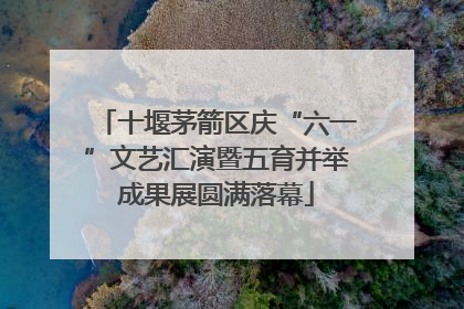 十堰茅箭区庆“六一”文艺汇演暨五育并举成果展圆满落幕