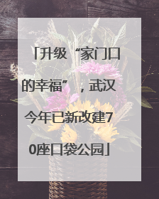 升级“家门口的幸福”，武汉今年已新改建70座口袋公园