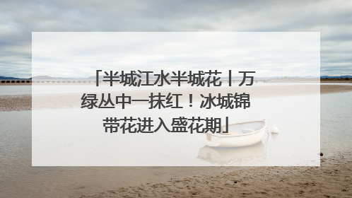 半城江水半城花丨万绿丛中一抹红！冰城锦带花进入盛花期