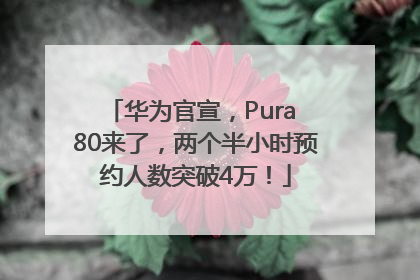 华为官宣，Pura 80来了，两个半小时预约人数突破4万！